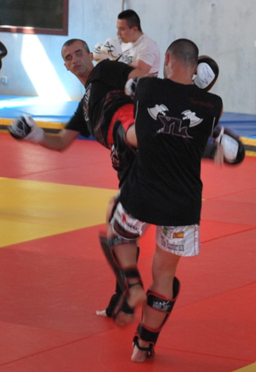 Stage boxe thaï 2014 - Energy Fight Club 62.jpg (large)