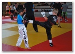 Stage boxe thaï 2014 - Energy Fight Club: 29.jpg